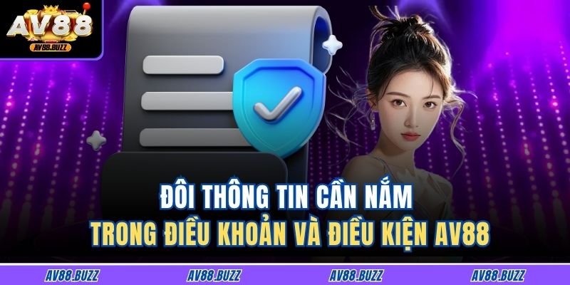 Đôi thông tin cần nắm trong Điều khoản và Điều kiện AV88